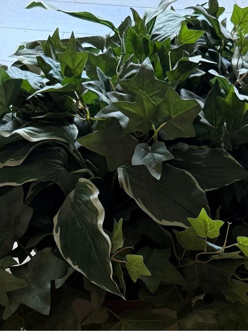 Faux Ivy and Variegated Hosta Planter - 36” wide